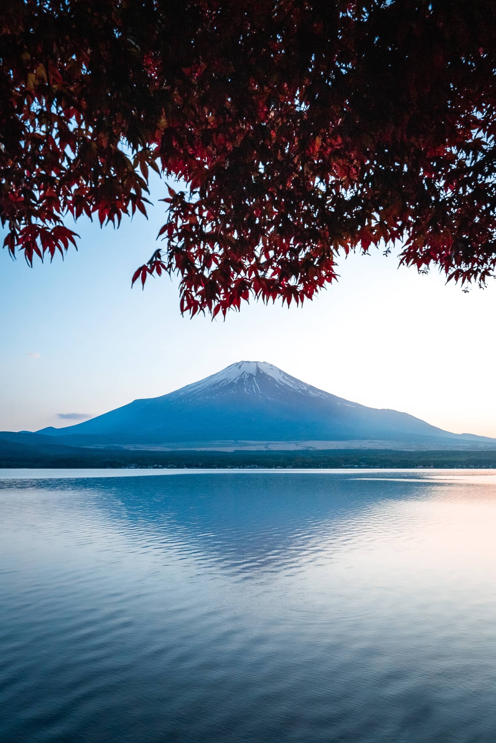 Japan Tours, Mount Fuji