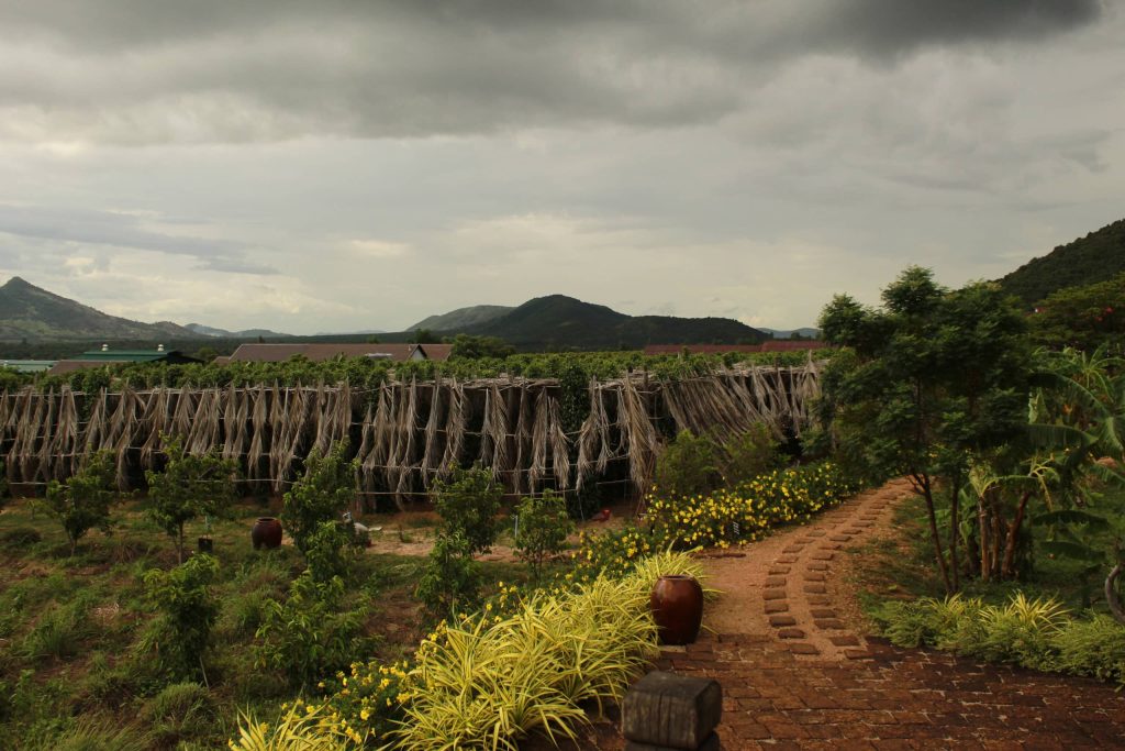 Fully Inclusive Escorted Tours to Cambodia.