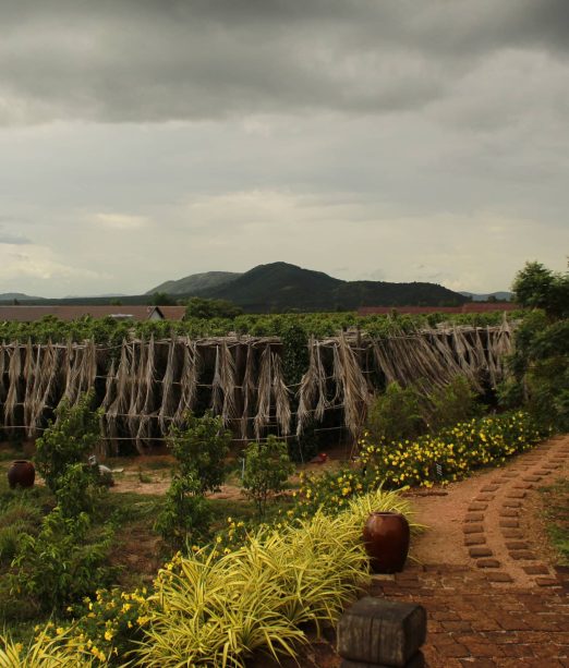 Fully Inclusive Escorted Tours to Cambodia.