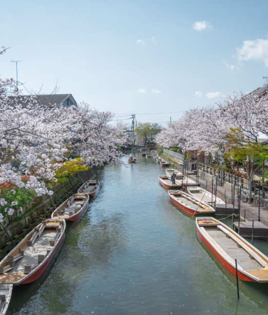 Yanagawa River cruise