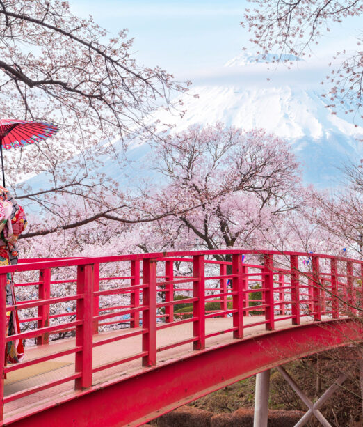 Japan Cherry Blossom 2026 Tour