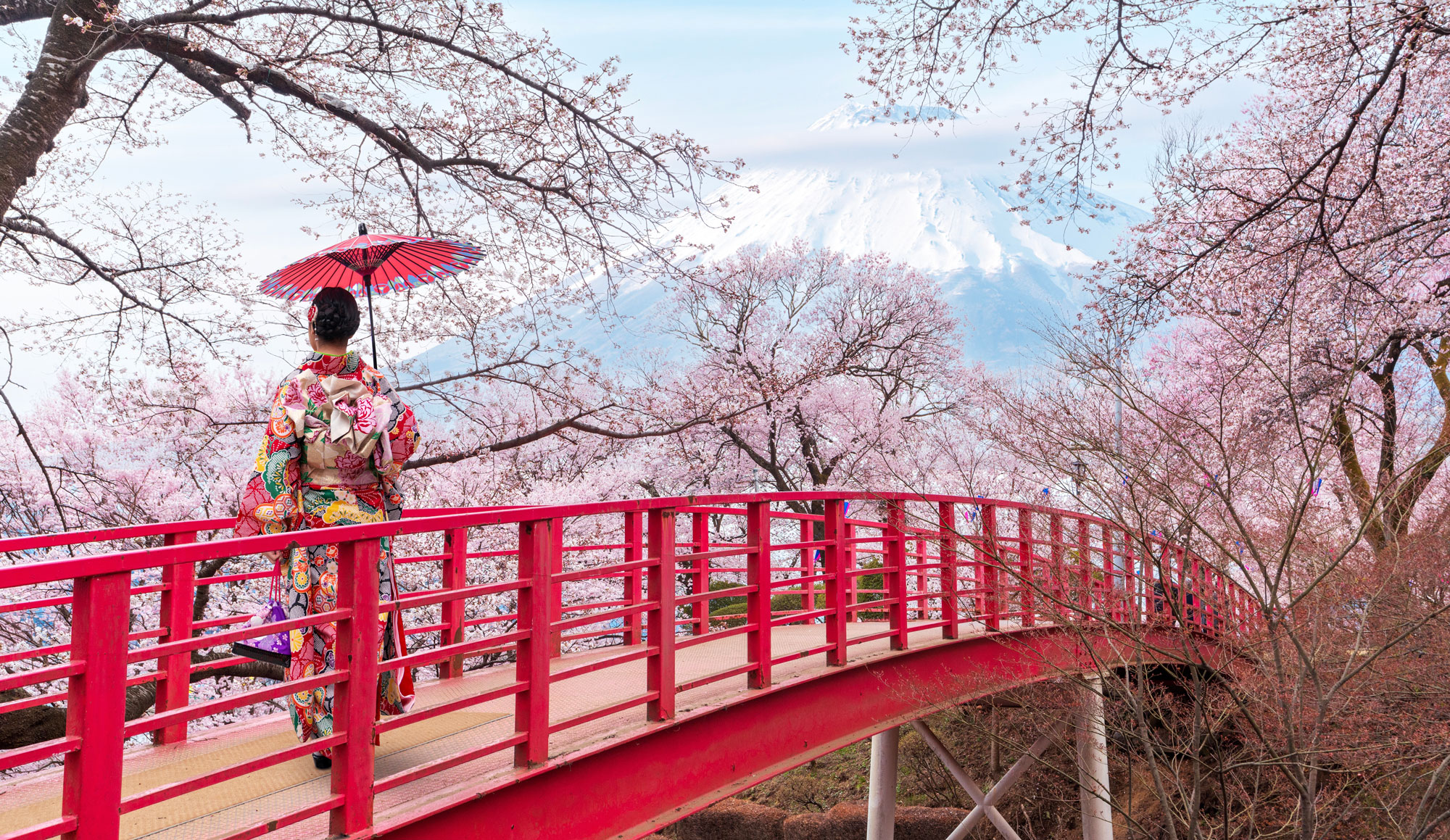 Japan Cherry Blossom 2026 Tour