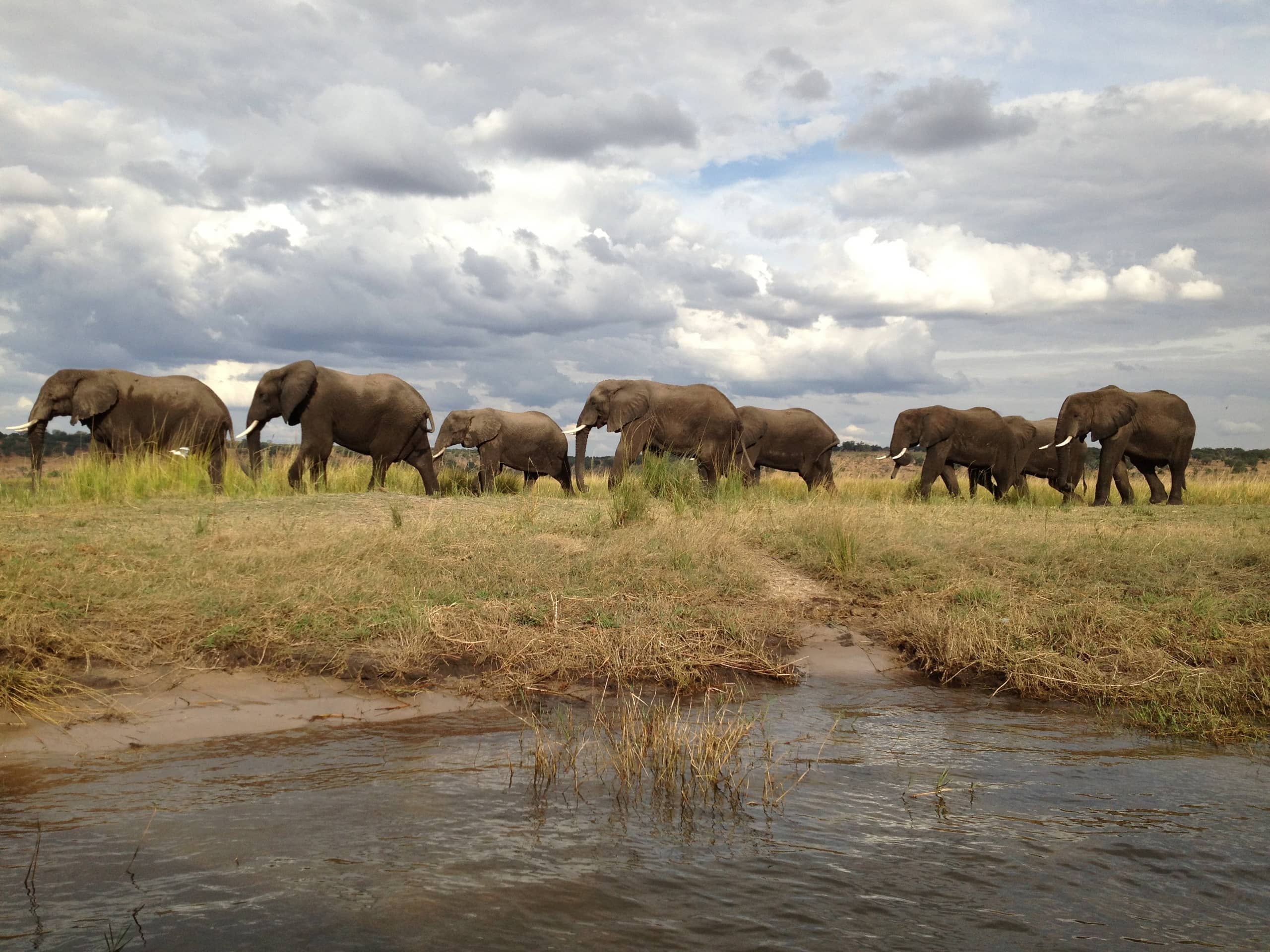 Chobe National Park Africa Tours