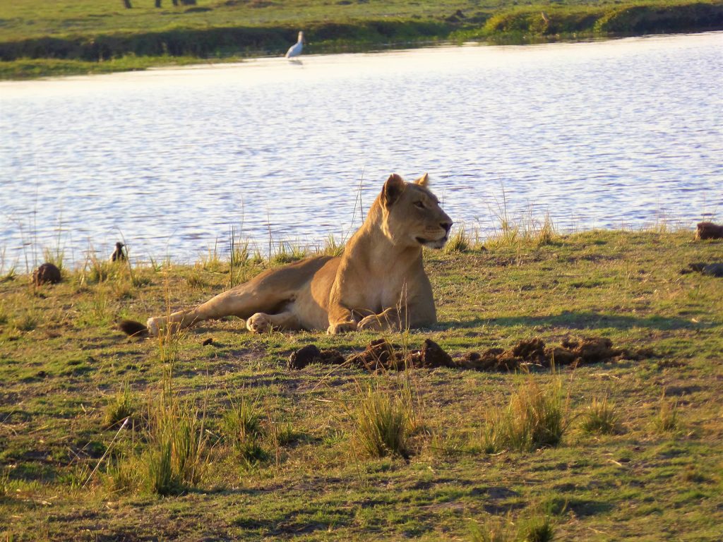 Chobe National Park Africa Tours