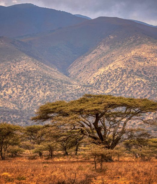 Ngorongoro Crater Tanzania