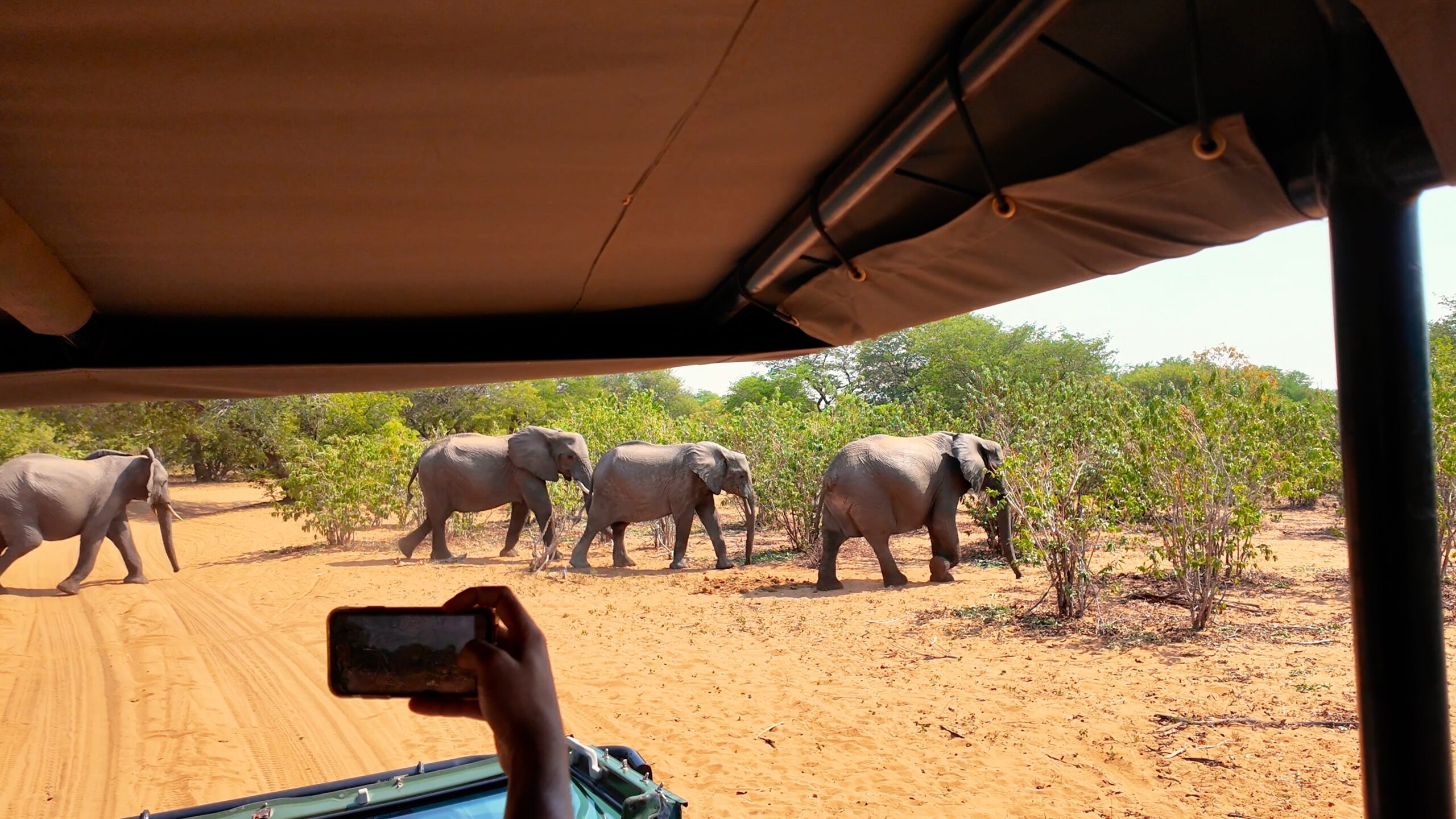 Botswana Educational Tour Journal - Desert & Delta Safaris | May 2026 5 Botswana overland safari