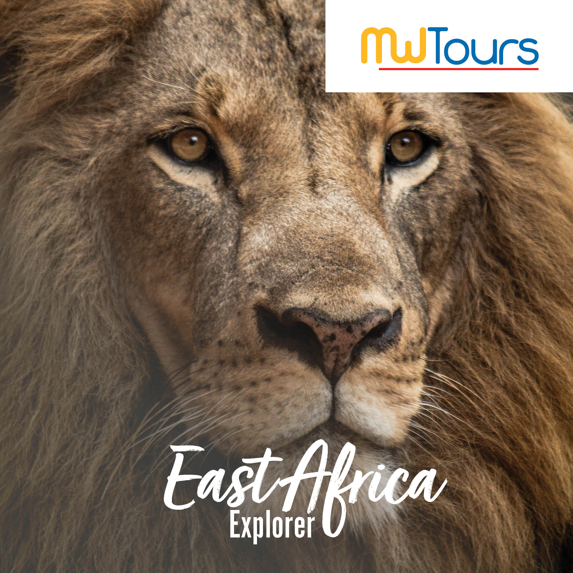 Africa Tour Package Holidays