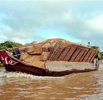 Mekong Delta