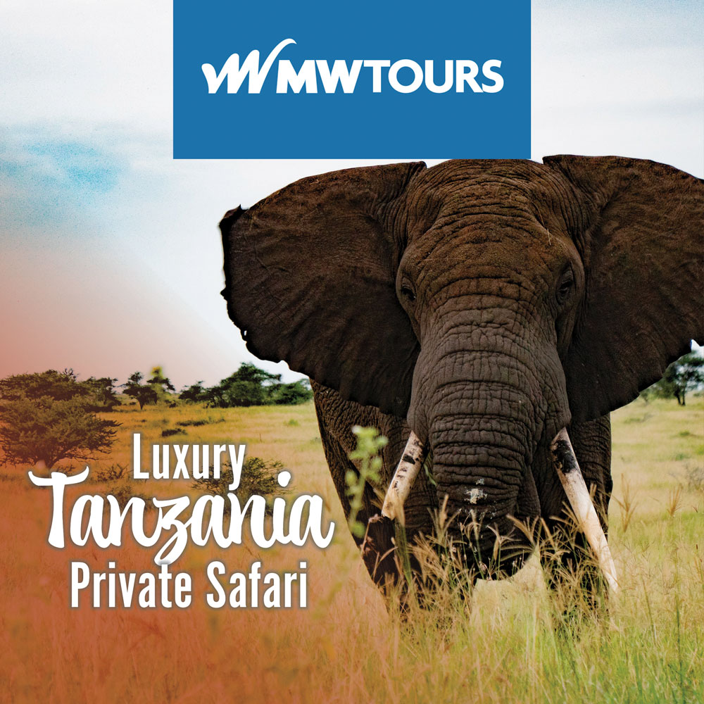 African Safari Tour Holidays