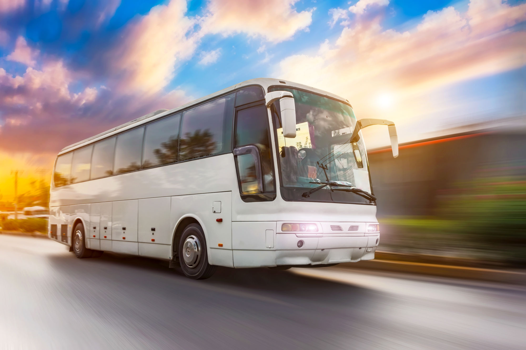 Seat in Coach Tour - Japan