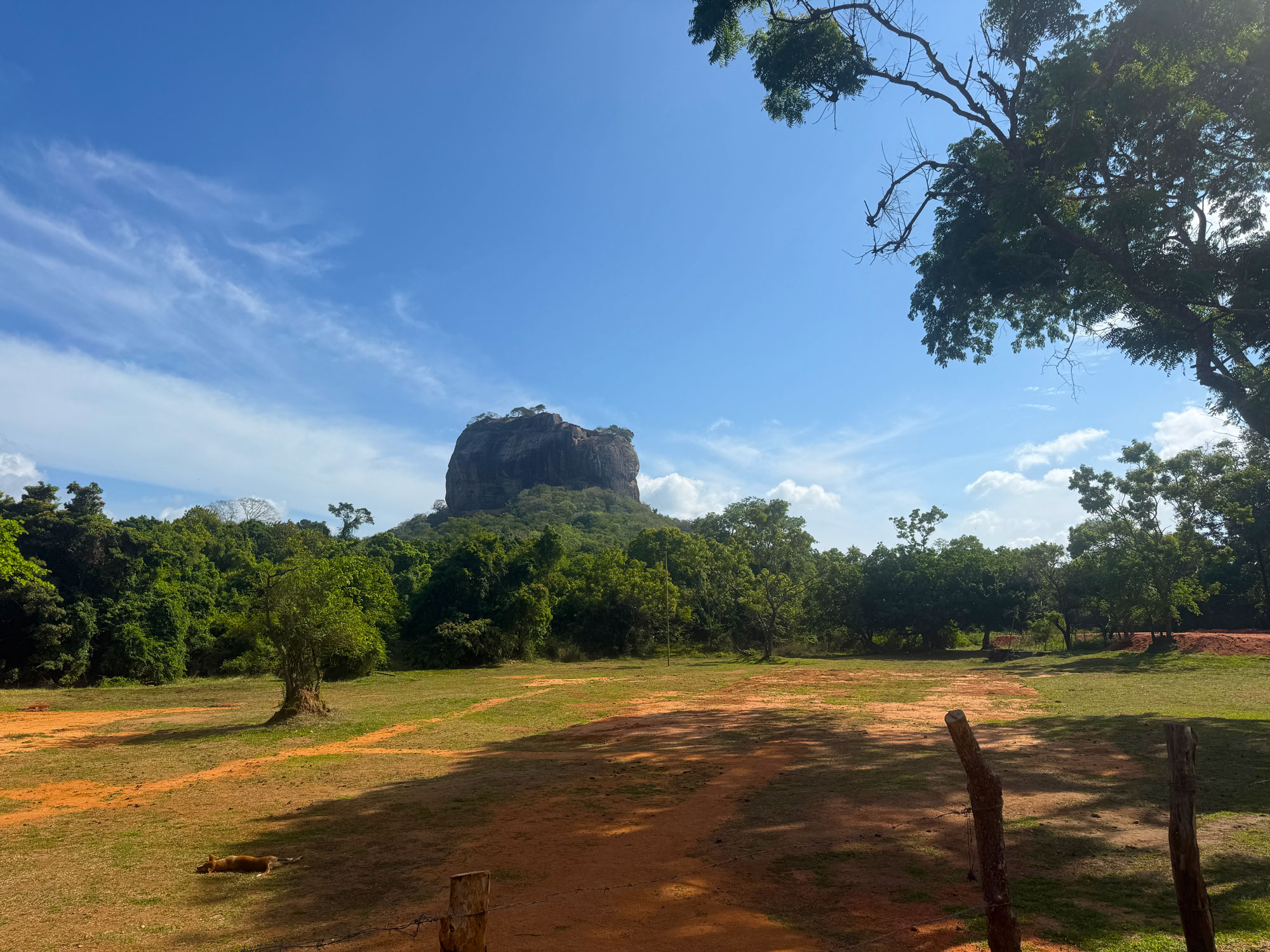 sigrya rock fortress sri lanka tour