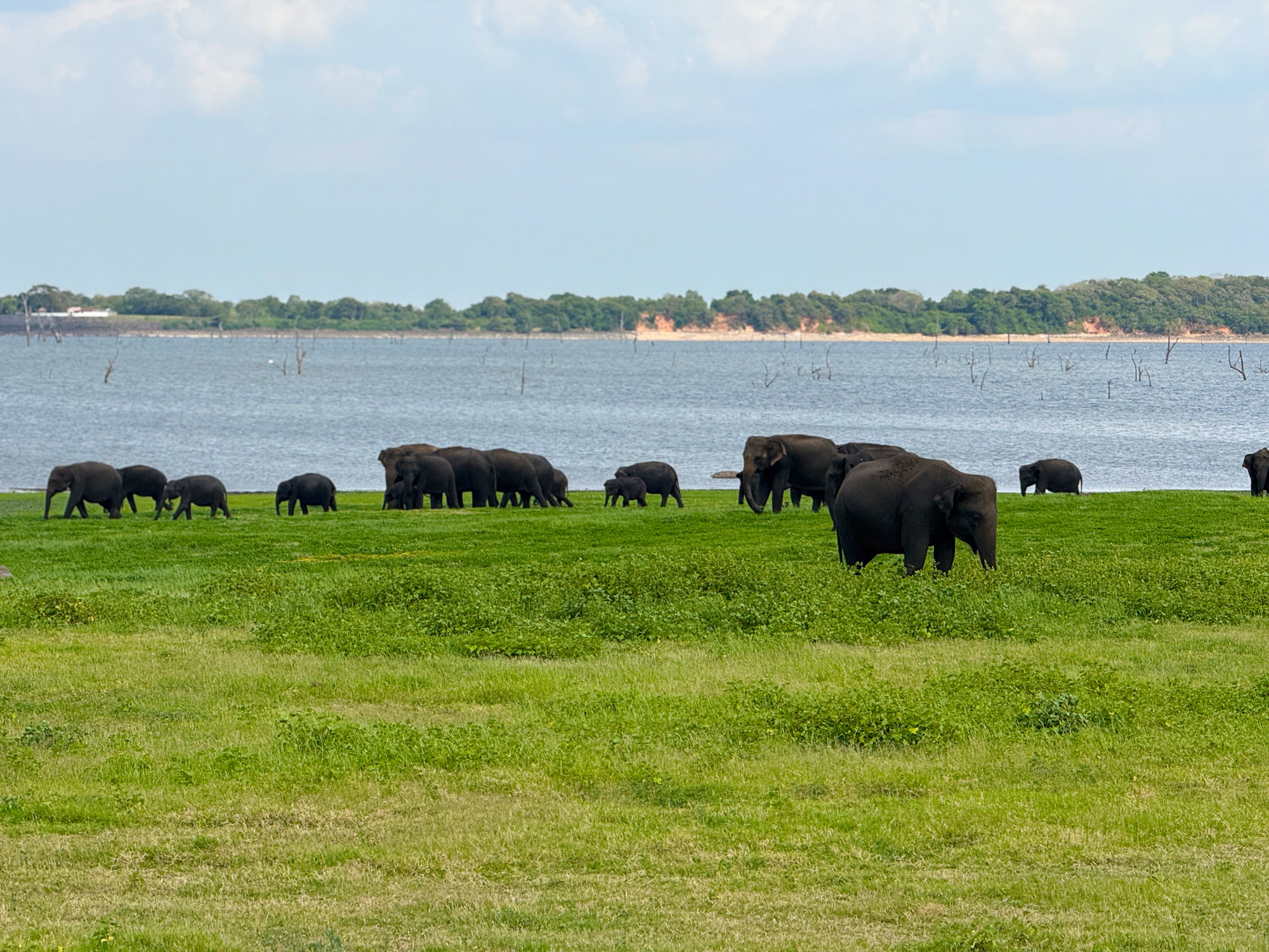 Yala National Park - Wildlife Safari