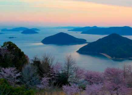 Journey to Japan with David Whitehill